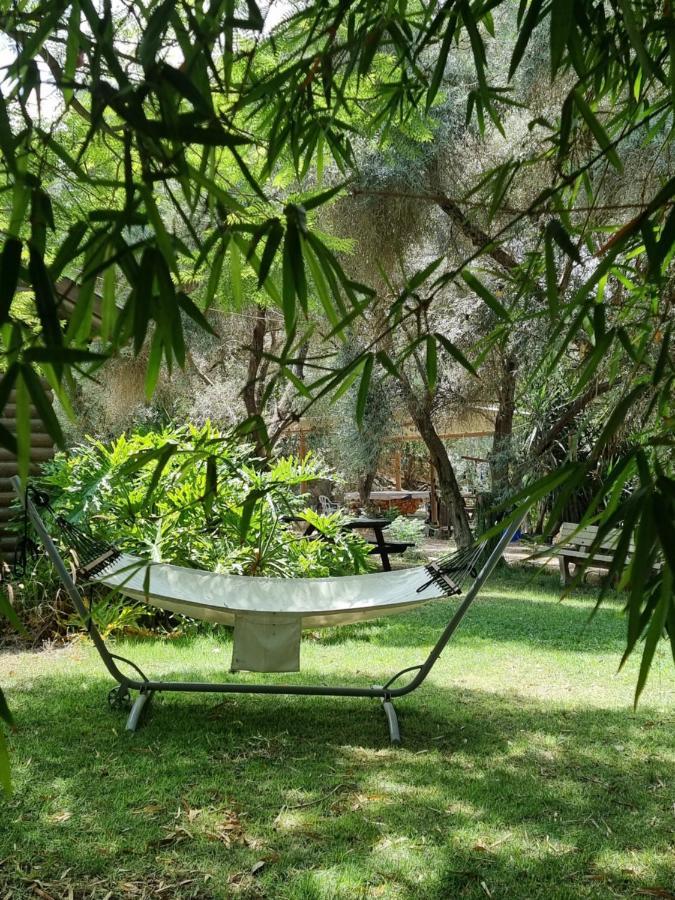A Place To Dream Tsipori المظهر الخارجي الصورة