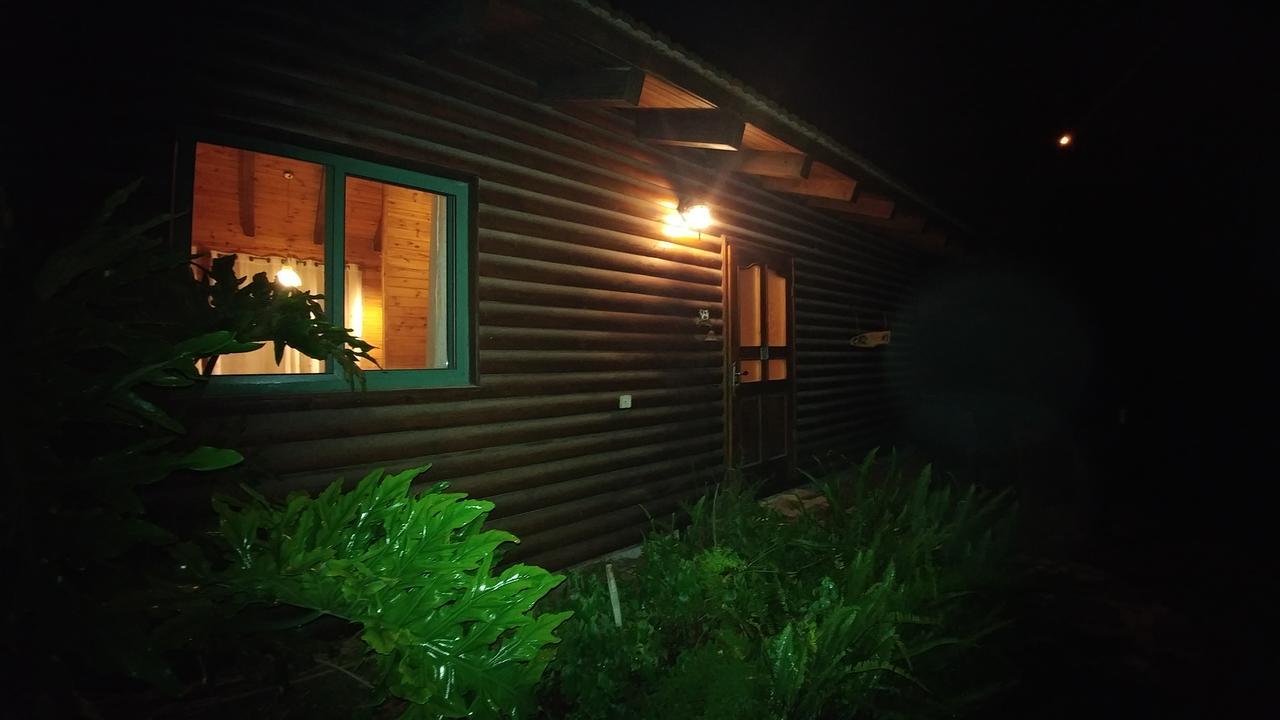 A Place To Dream Tsipori المظهر الخارجي الصورة