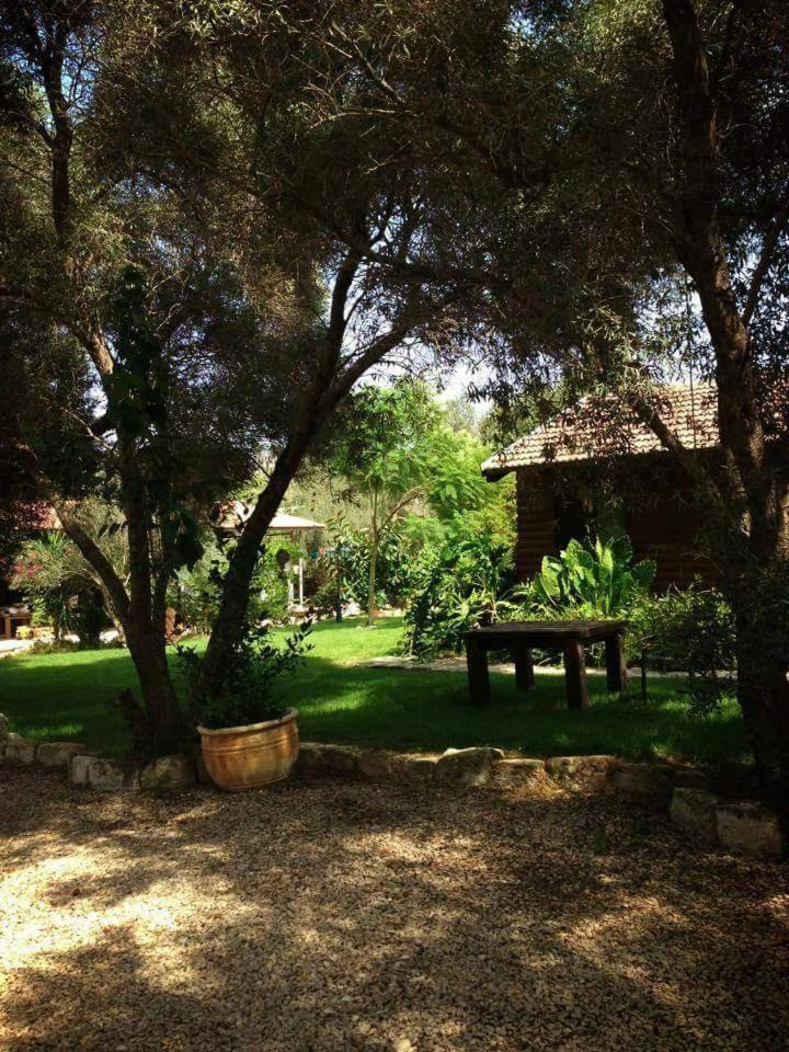 A Place To Dream Tsipori المظهر الخارجي الصورة