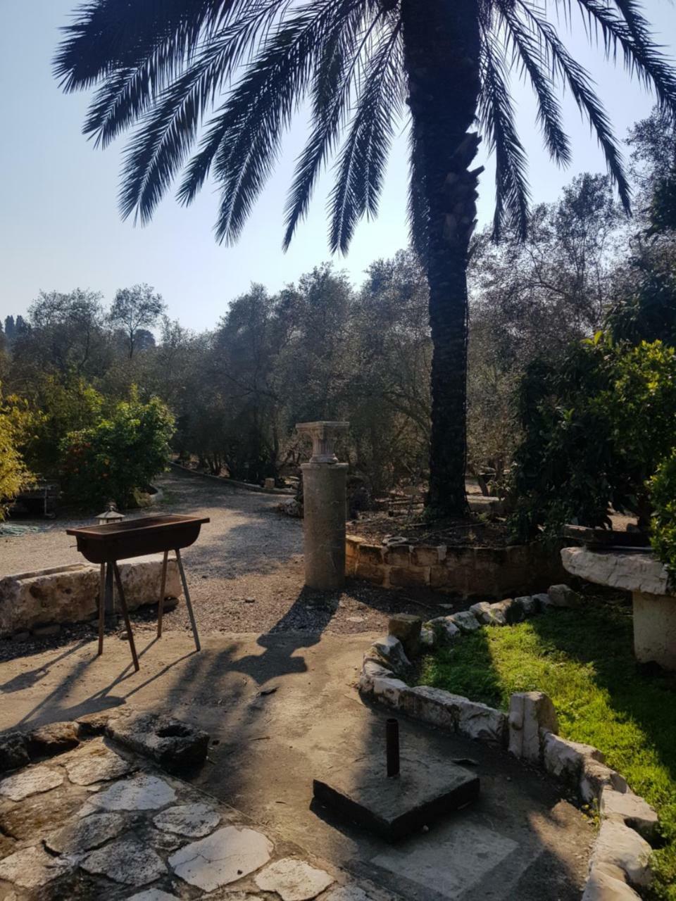 A Place To Dream Tsipori المظهر الخارجي الصورة